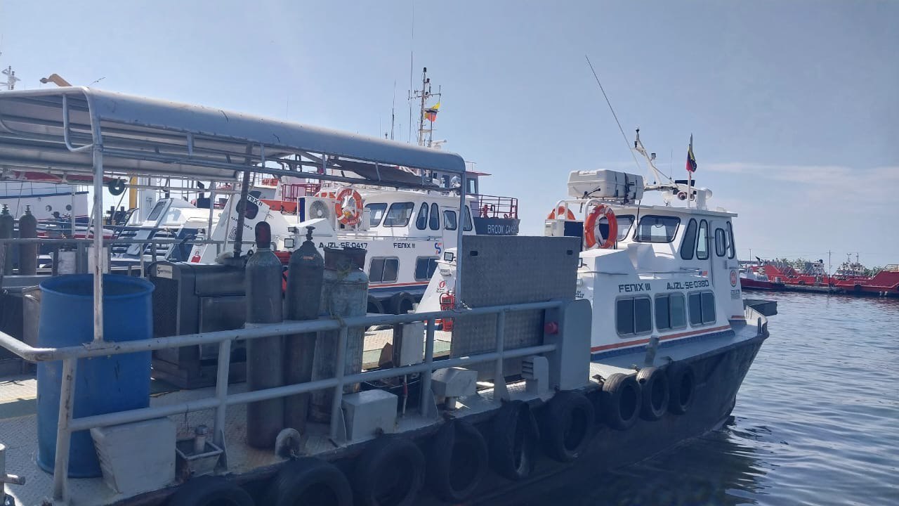 Imagen de la galería