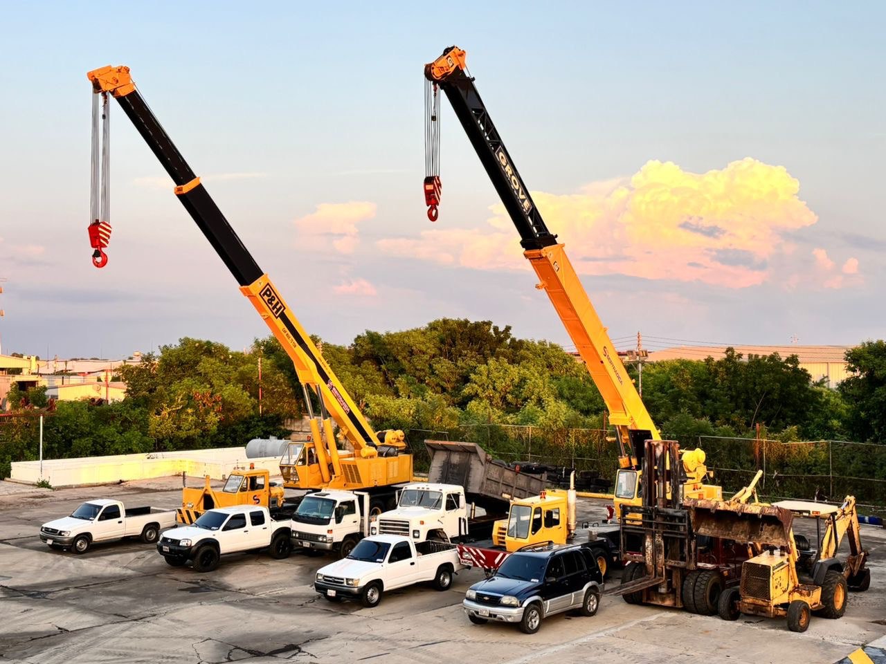 Imagen de la galería